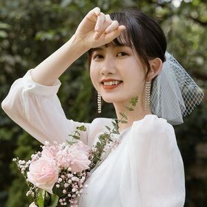 Short birdcage bridal veil with comb